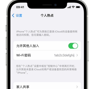 湄潭apple服务站点分享iPhone上个人热点丢失了怎么办