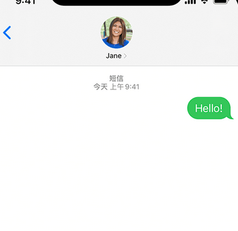 湄潭apple维修iPhone上无法正常发送iMessage信息