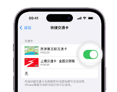 湄潭apple维修点分享iPhone上更换Apple Pay快捷交通卡手绘卡面 