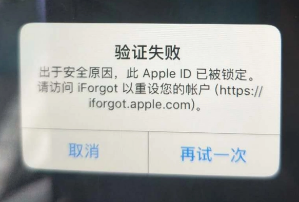 湄潭iPhone维修分享iPhone上正常登录或使用AppleID怎么办 