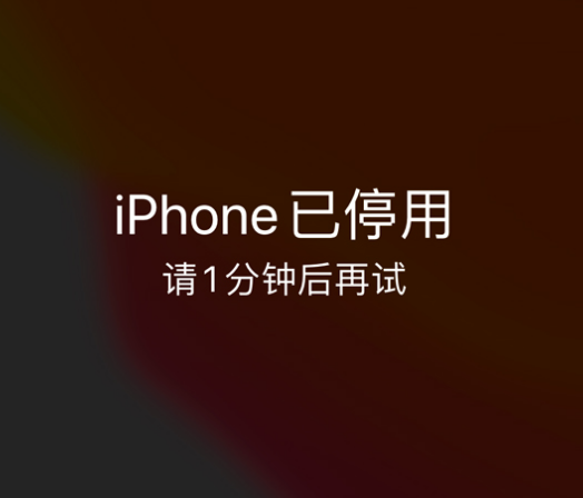 湄潭苹果手机维修分享:iPhone 显示“不可用”或“已停用”怎么办？还能保留数据吗？ 