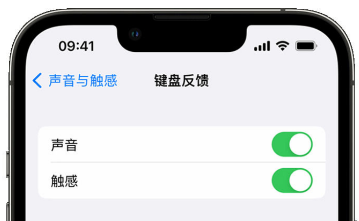 湄潭苹果手机维修分享iPhone 14触感键盘使用方法 