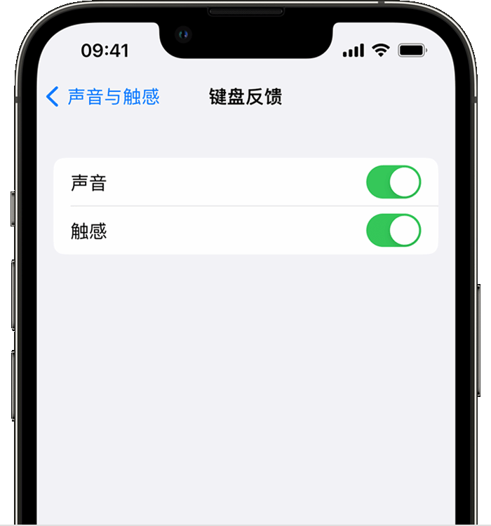 湄潭苹果14维修店分享如何在 iPhone 14 机型中使用触感键盘 