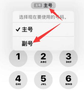 湄潭苹果14维修店分享iPhone 14 Pro Max使用副卡打电话的方法 