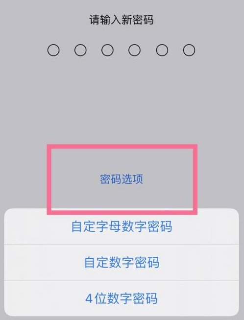 湄潭苹果14维修分享iPhone 14plus设置密码的方法 