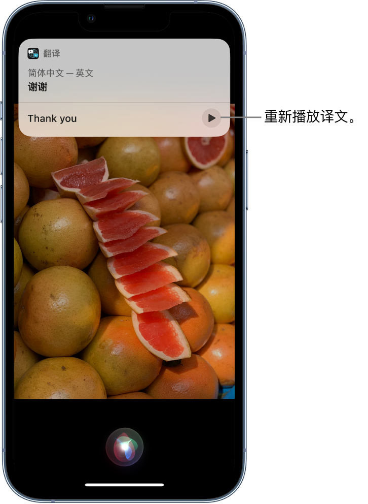 湄潭苹果14维修分享 iPhone 14 机型中使用 Siri：了解 Siri 能帮你做什么 