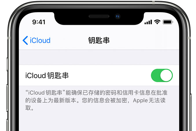 湄潭苹果手机维修分享在 iPhone 上开启 iCloud 钥匙串之后会储存哪些信息 