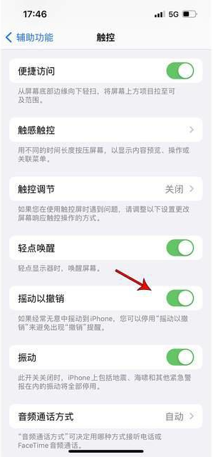 湄潭苹果手机维修分享iPhone手机如何设置摇一摇删除文字 