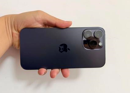 湄潭苹果维修点分享iPhone 14 Pro Max黑屏少见故障盘点 